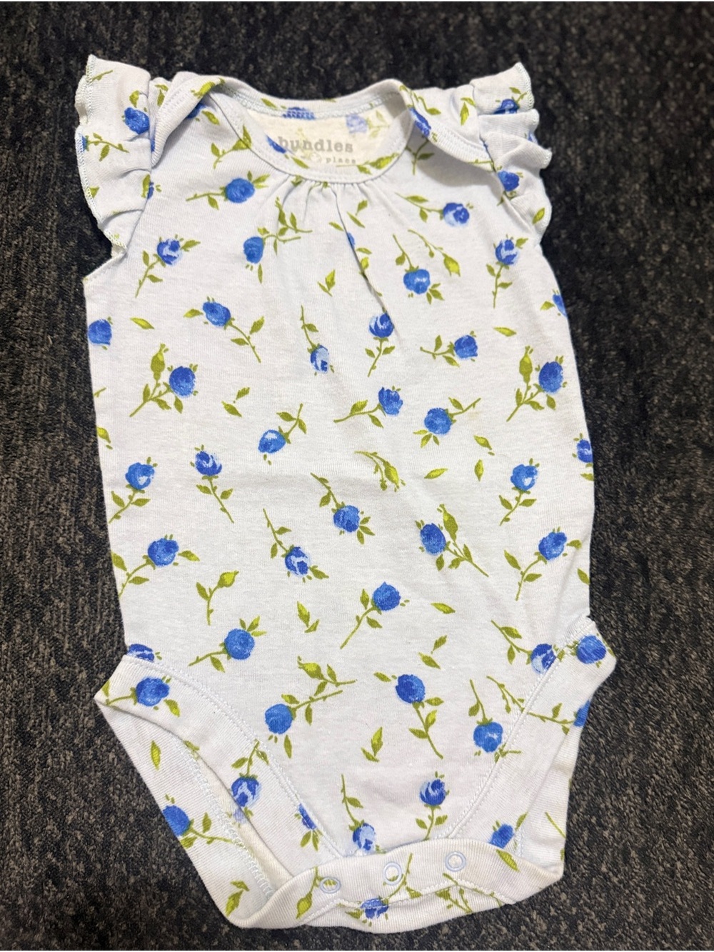 Baby Girl Flutter-Sleeve Floral Bodysuit - 6-9 months